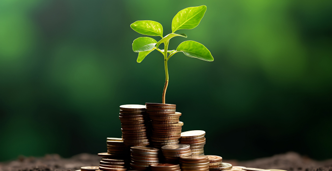 Investir Private Equity